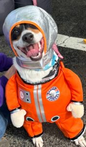 stella -paws for jesus astronaut